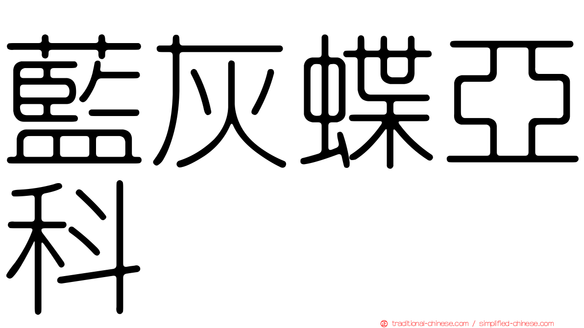藍灰蝶亞科