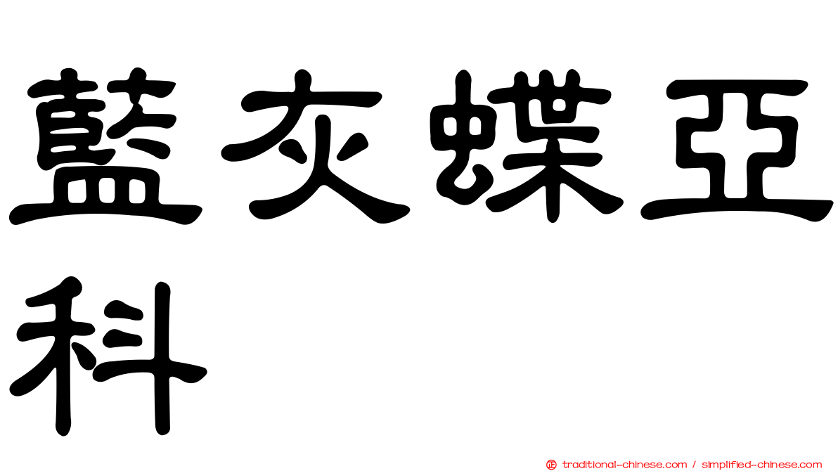 藍灰蝶亞科