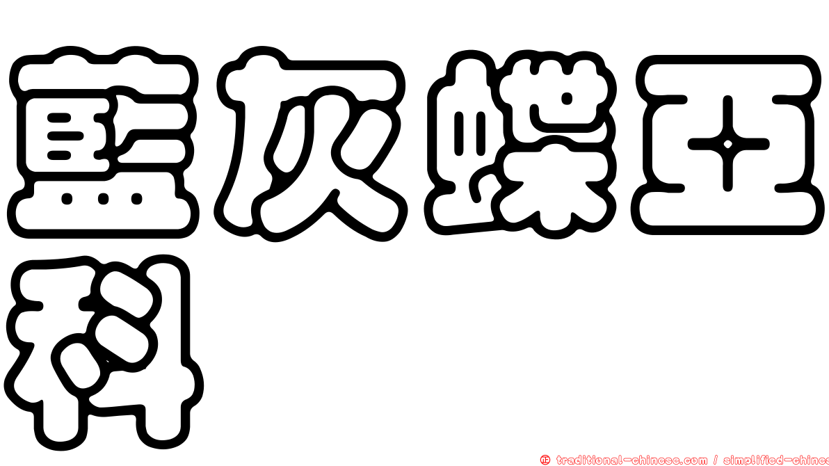 藍灰蝶亞科