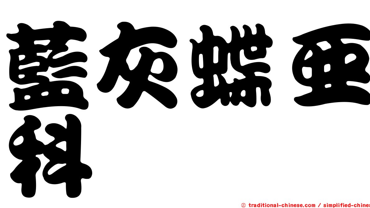 藍灰蝶亞科