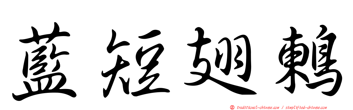 藍短翅鶇