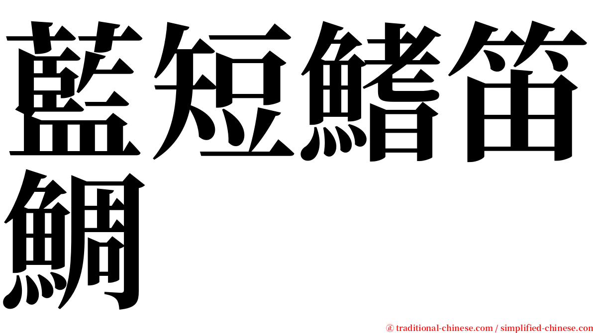 藍短鰭笛鯛 serif font
