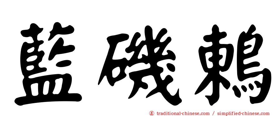 藍磯鶇