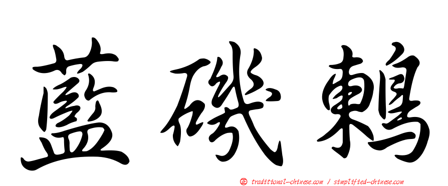 藍磯鶇