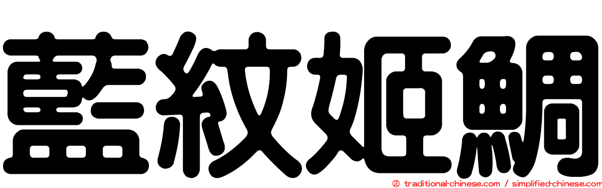 藍紋姬鯛