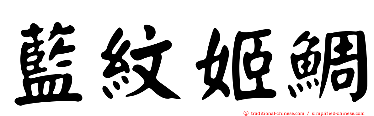 藍紋姬鯛