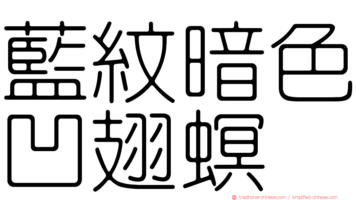 藍紋暗色凹翅螟