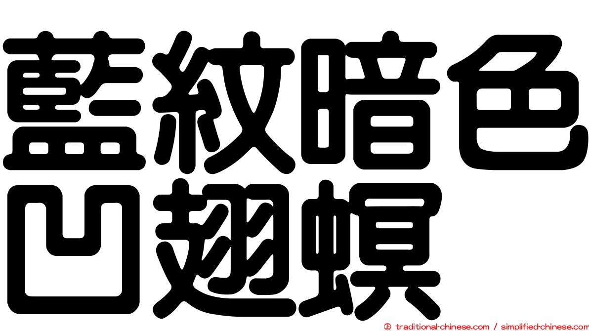 藍紋暗色凹翅螟