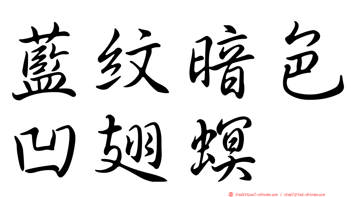 藍紋暗色凹翅螟
