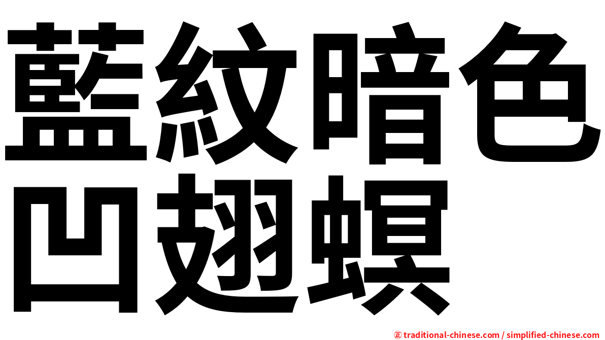 藍紋暗色凹翅螟