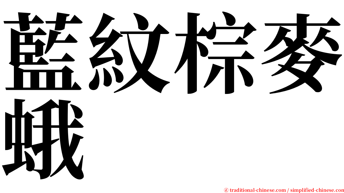 藍紋棕麥蛾 serif font