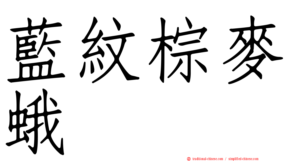 藍紋棕麥蛾