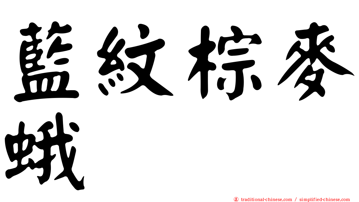 藍紋棕麥蛾