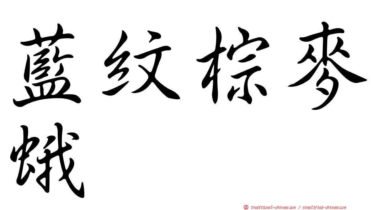 藍紋棕麥蛾