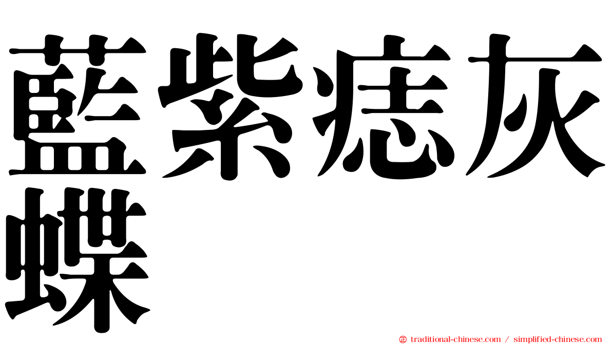 藍紫痣灰蝶