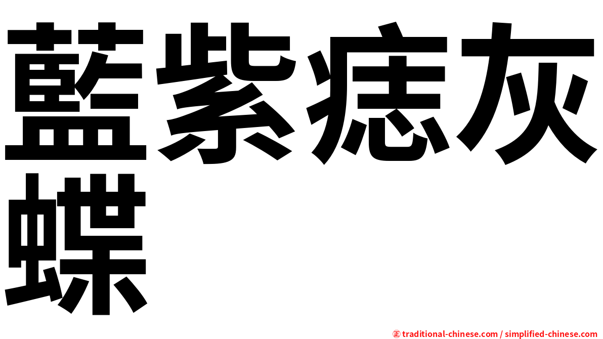 藍紫痣灰蝶