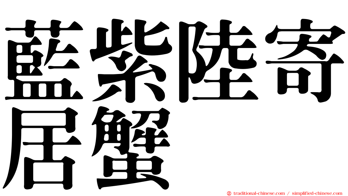藍紫陸寄居蟹