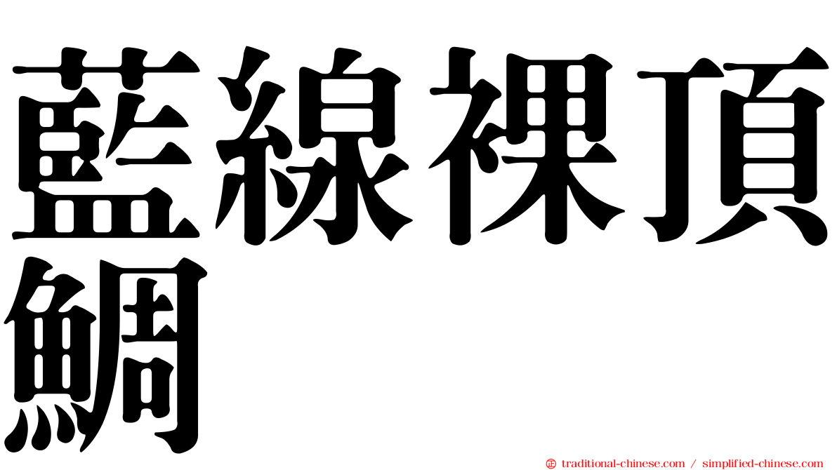 藍線裸頂鯛