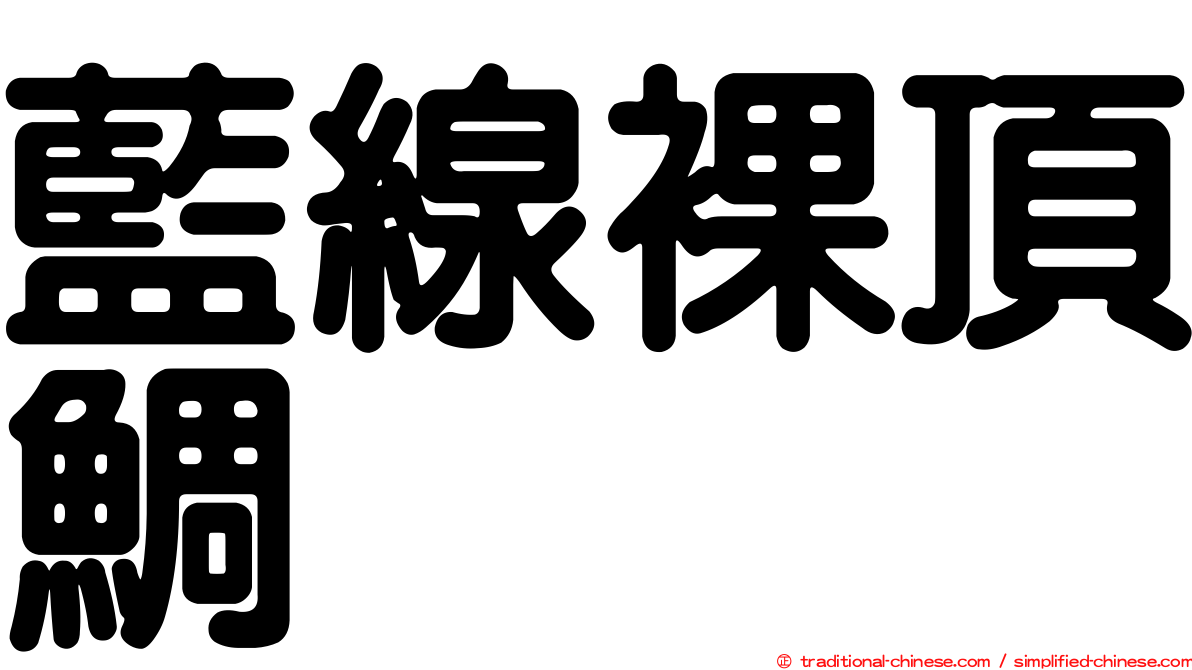 藍線裸頂鯛