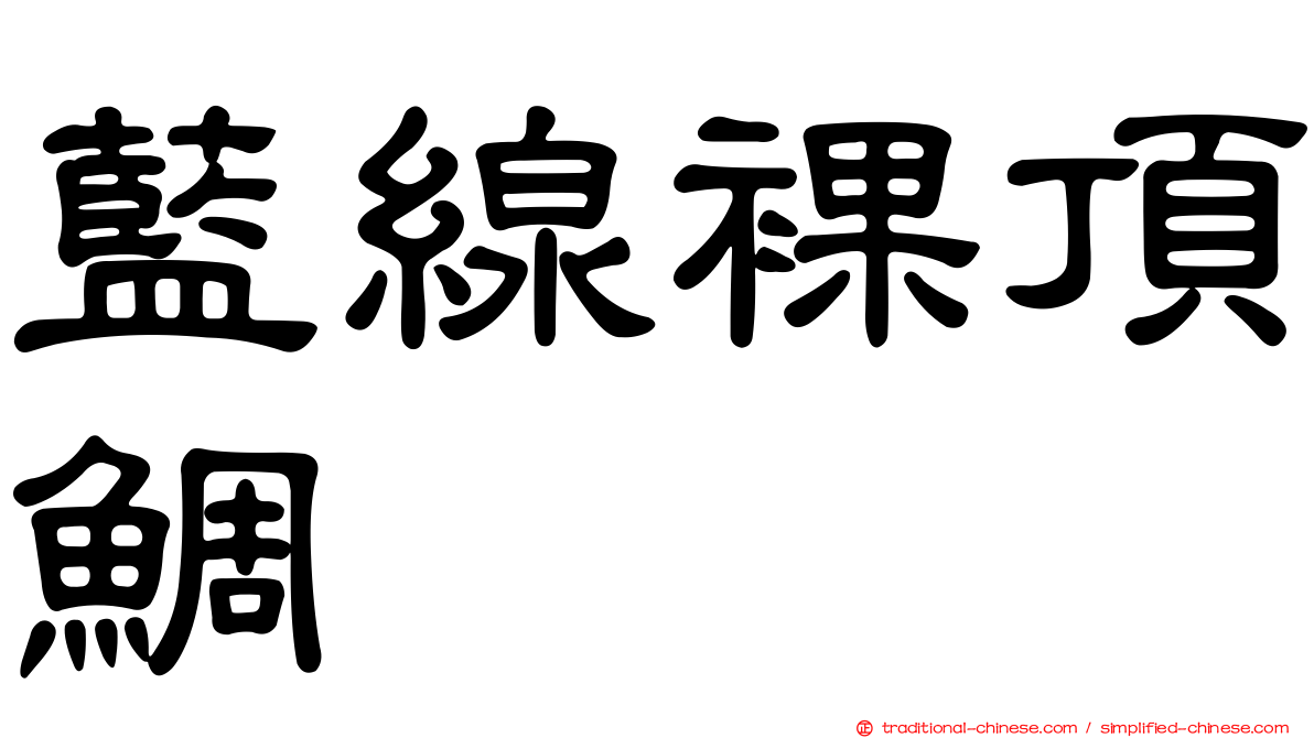 藍線裸頂鯛