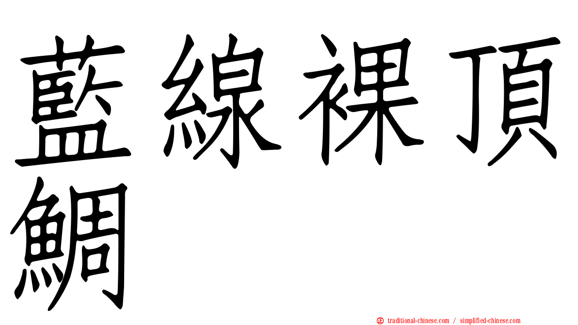 藍線裸頂鯛