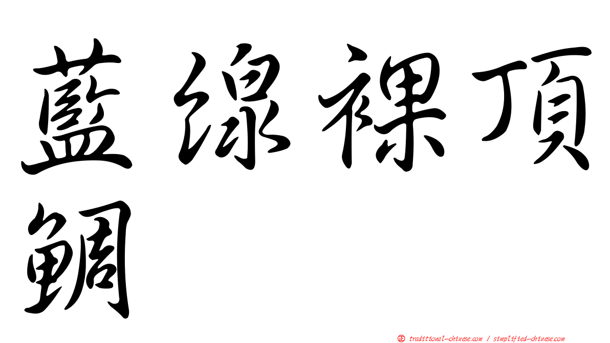 藍線裸頂鯛