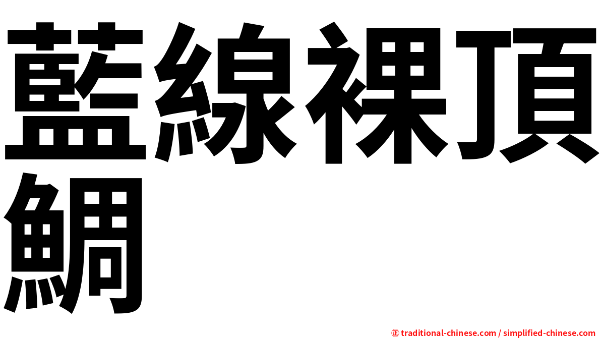 藍線裸頂鯛