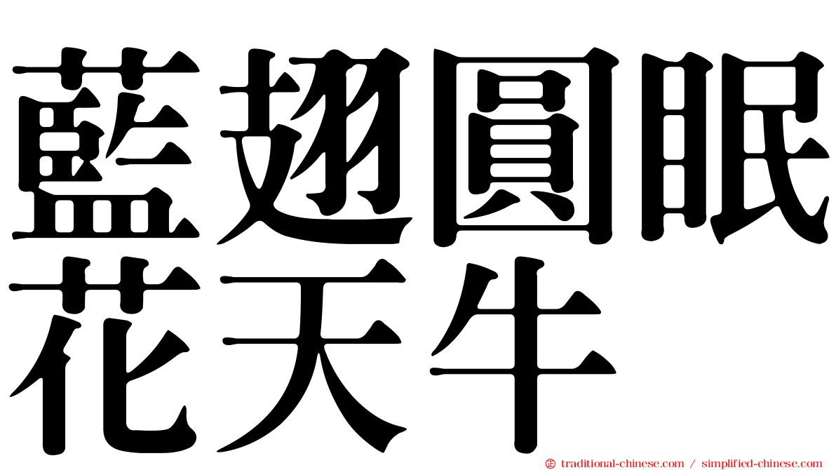 藍翅圓眠花天牛