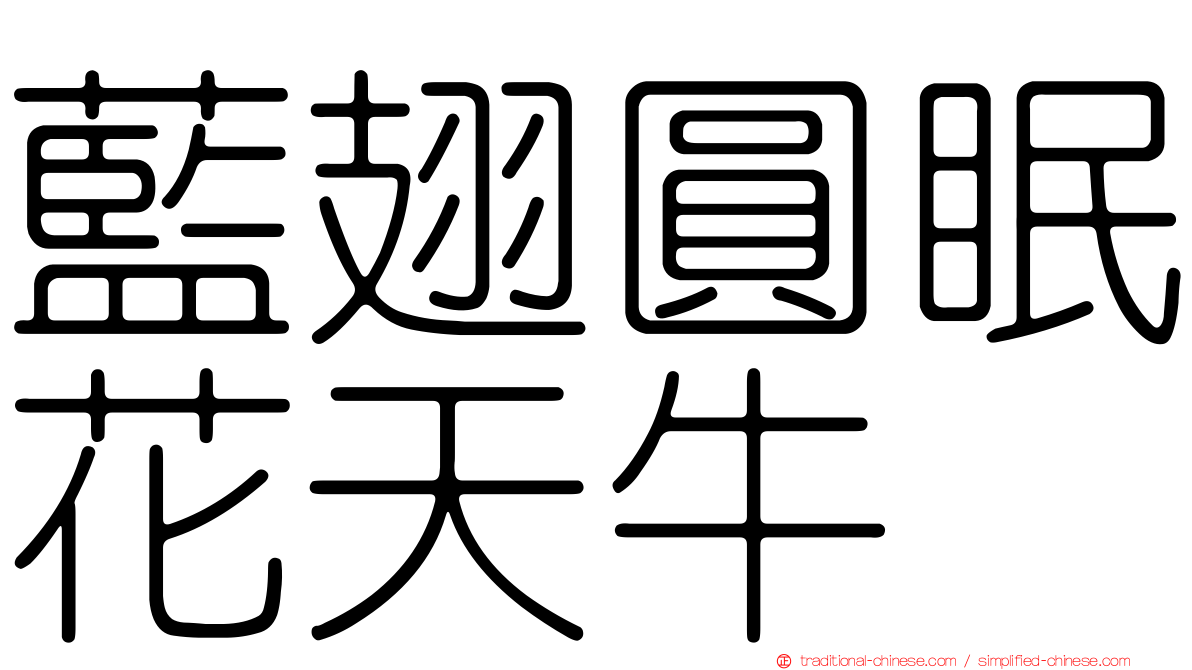 藍翅圓眠花天牛