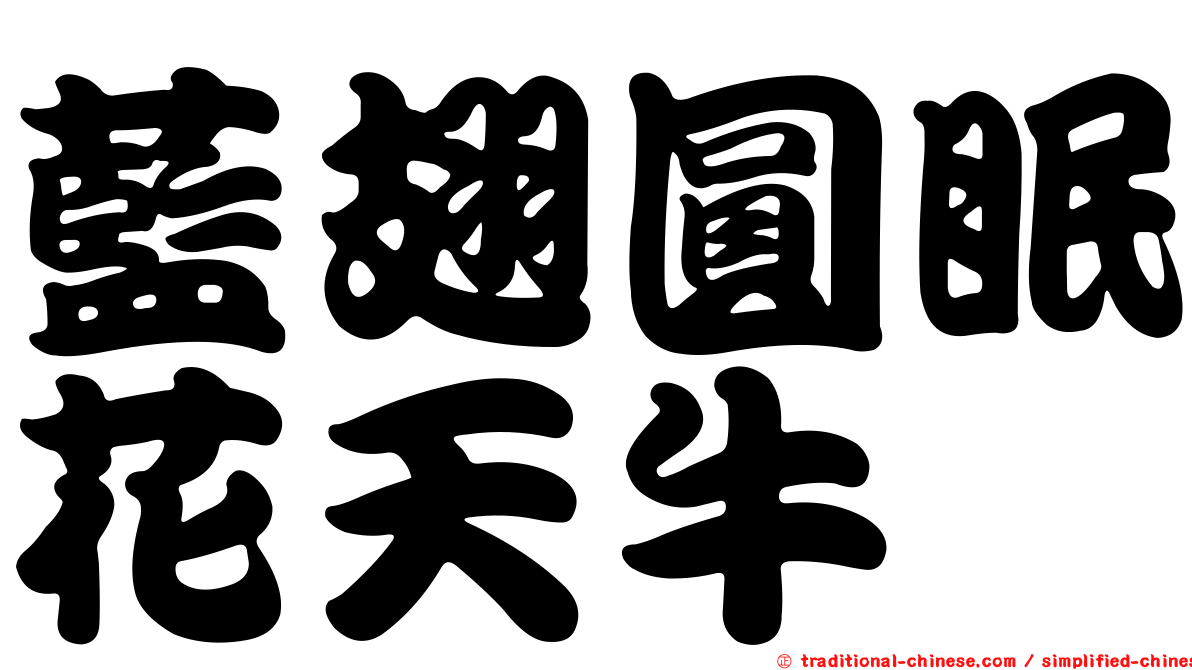 藍翅圓眠花天牛