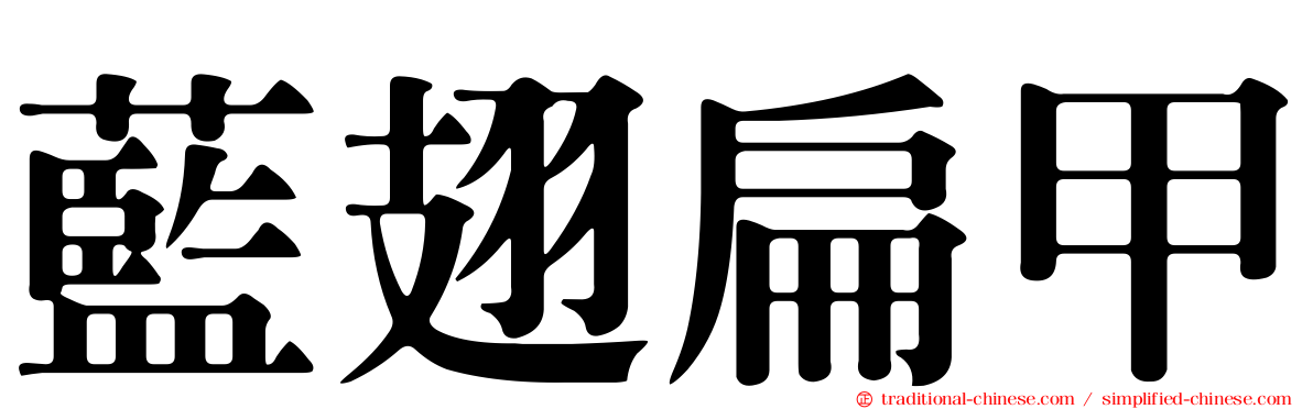 藍翅扁甲