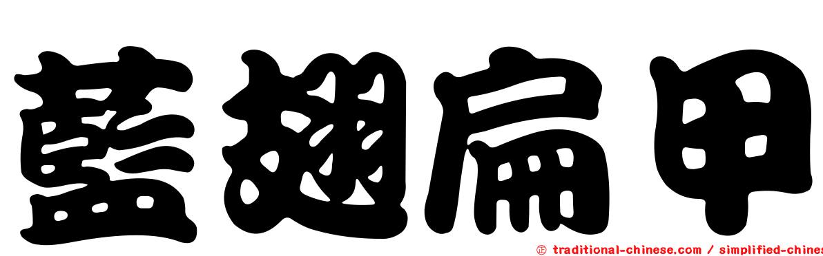 藍翅扁甲