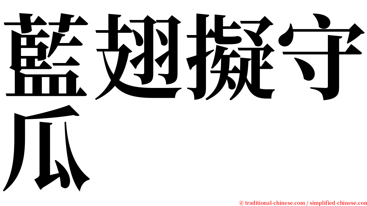 藍翅擬守瓜 serif font
