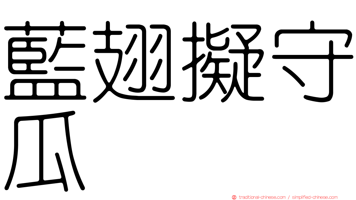 藍翅擬守瓜