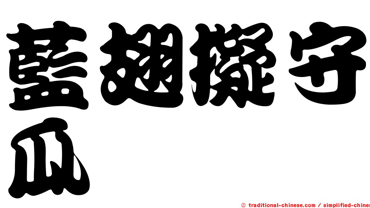 藍翅擬守瓜