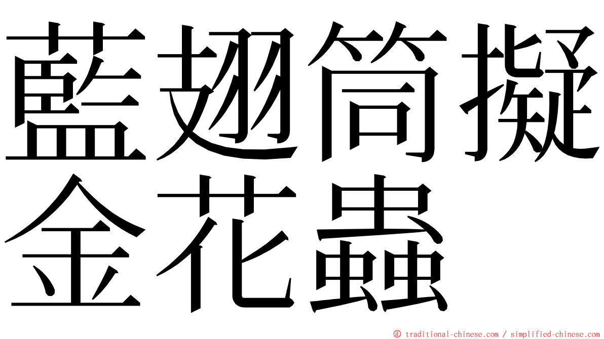 藍翅筒擬金花蟲 ming font