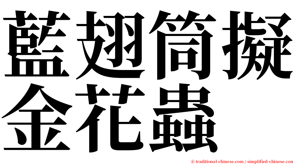藍翅筒擬金花蟲 serif font