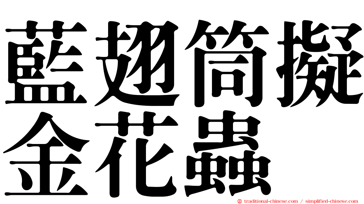 藍翅筒擬金花蟲