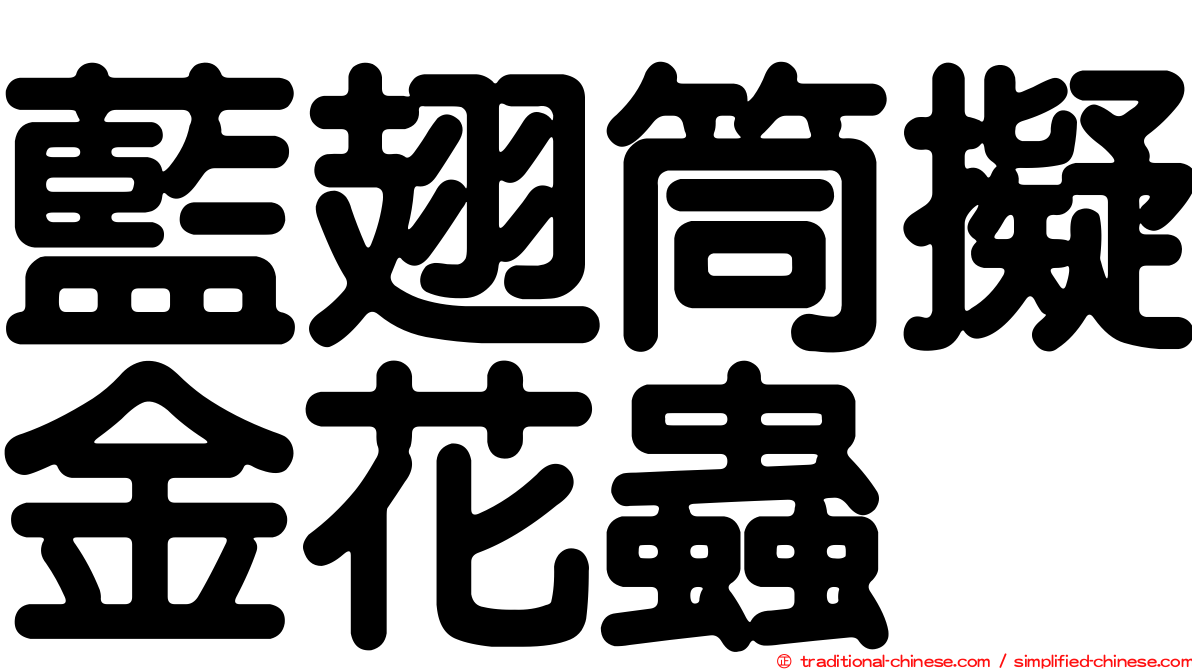 藍翅筒擬金花蟲