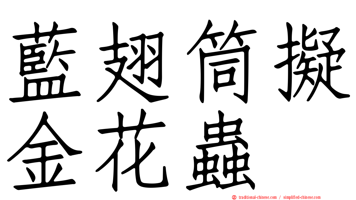 藍翅筒擬金花蟲