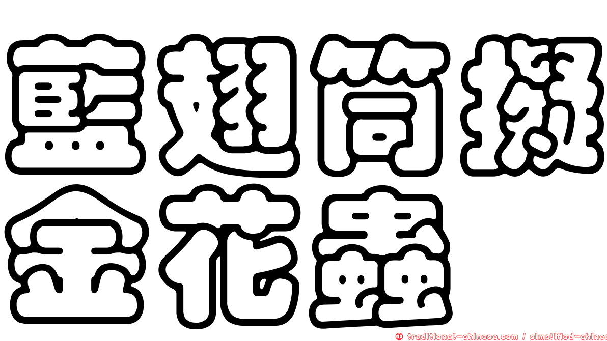 藍翅筒擬金花蟲