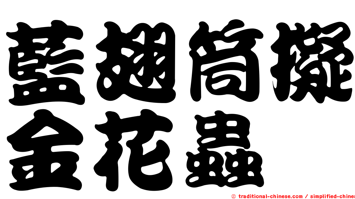 藍翅筒擬金花蟲