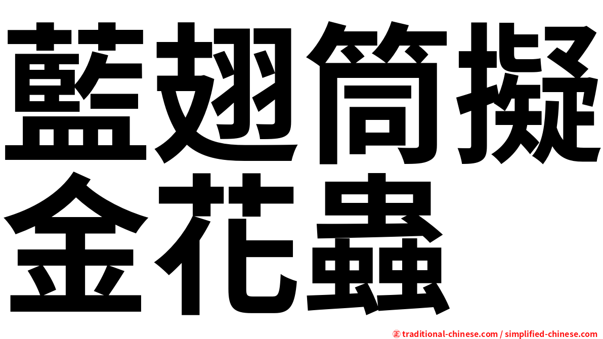 藍翅筒擬金花蟲