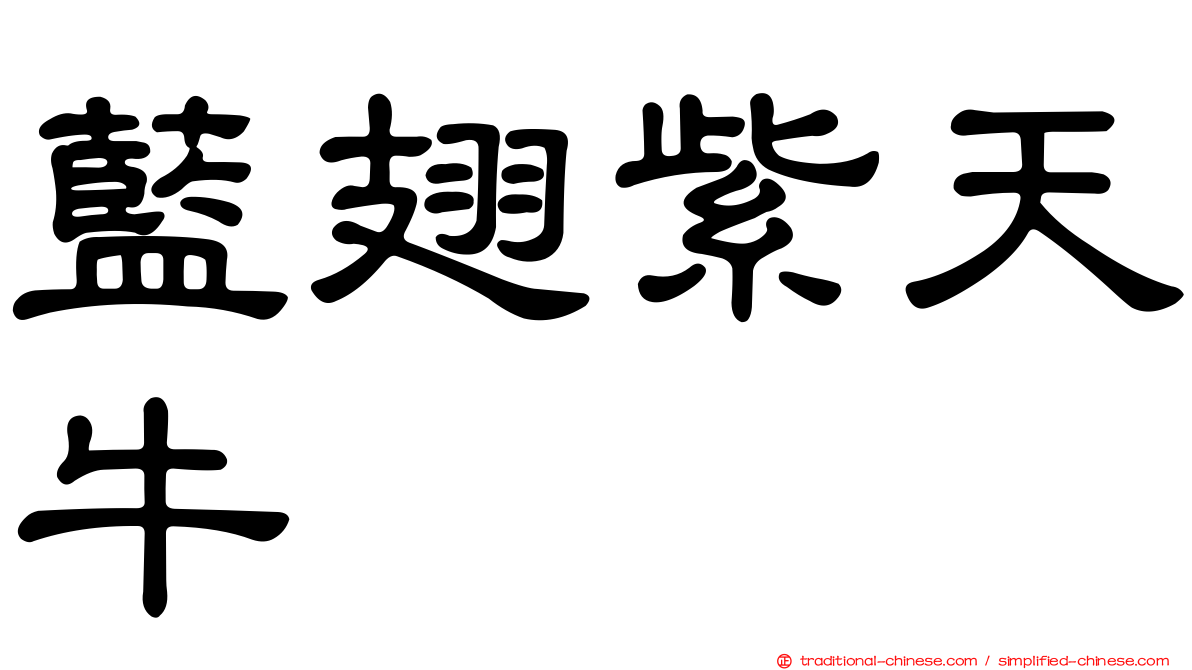 藍翅紫天牛