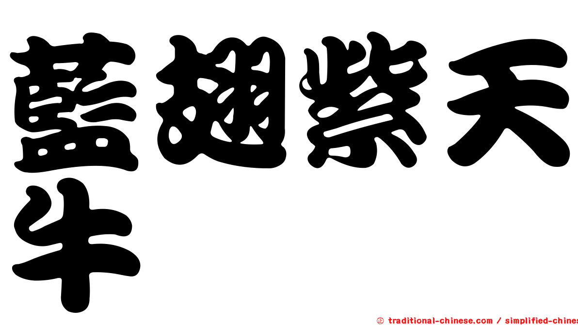 藍翅紫天牛