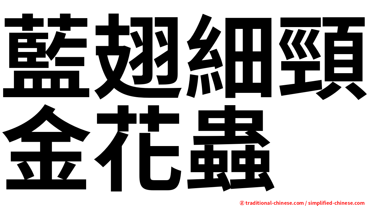 藍翅細頸金花蟲