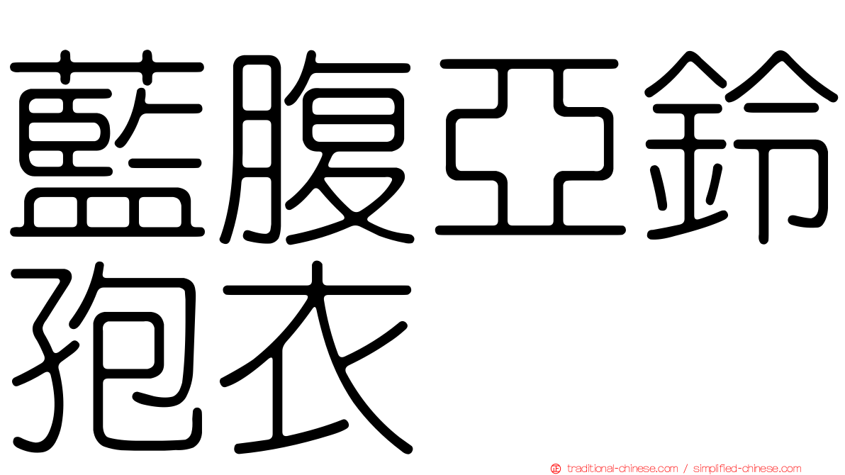 藍腹亞鈴孢衣