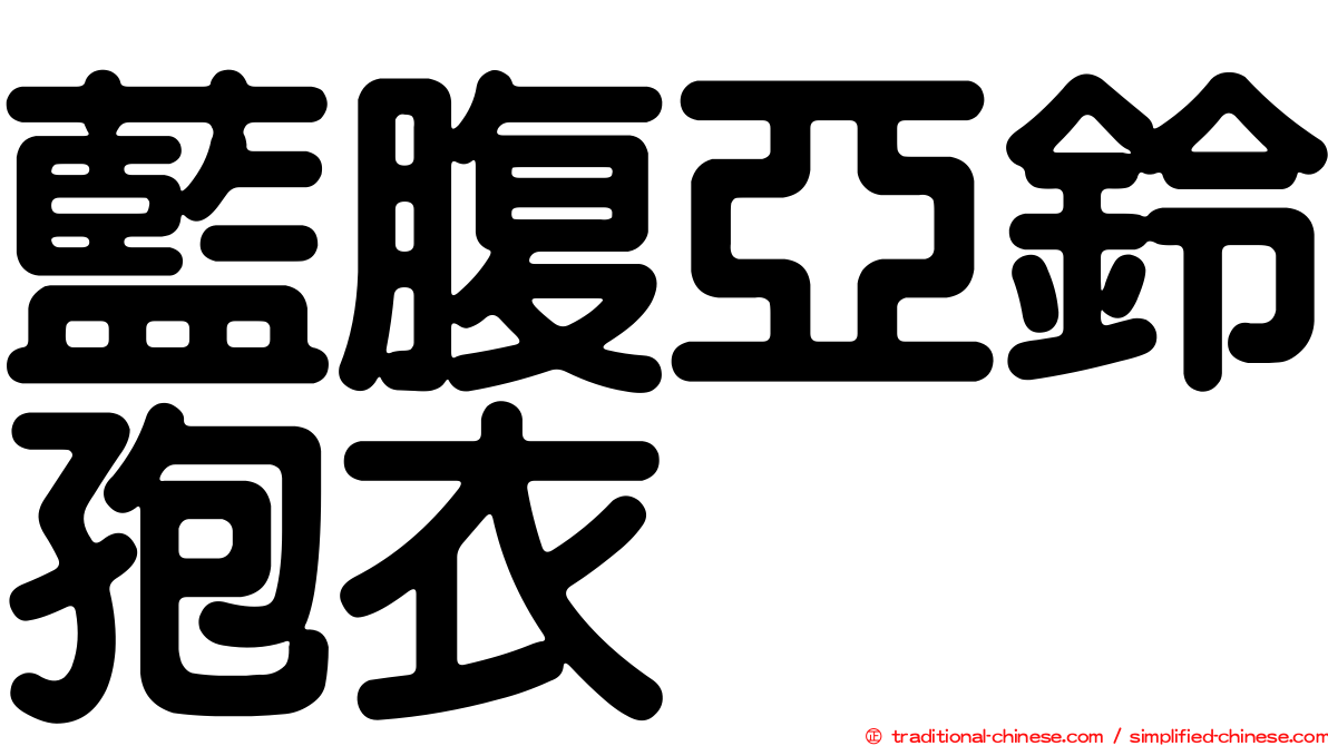 藍腹亞鈴孢衣