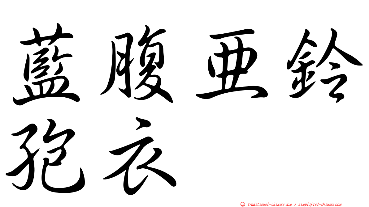 藍腹亞鈴孢衣