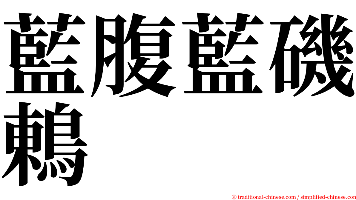 藍腹藍磯鶇 serif font